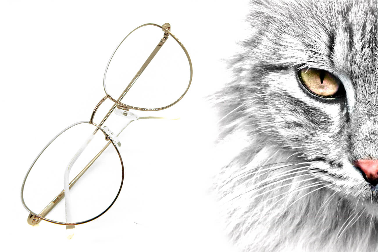 CATEYE-Oro-tenue-Bianco-meta-cerchio-superiore-3