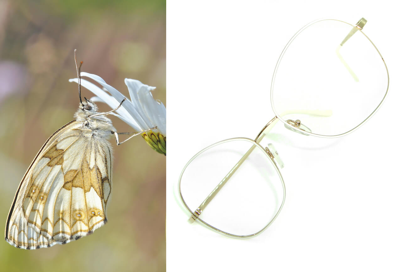 Dream-Oro-tenue-Bianco-4