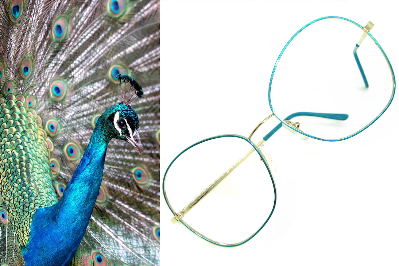 Dream-Oro-tenue-Turchese-4