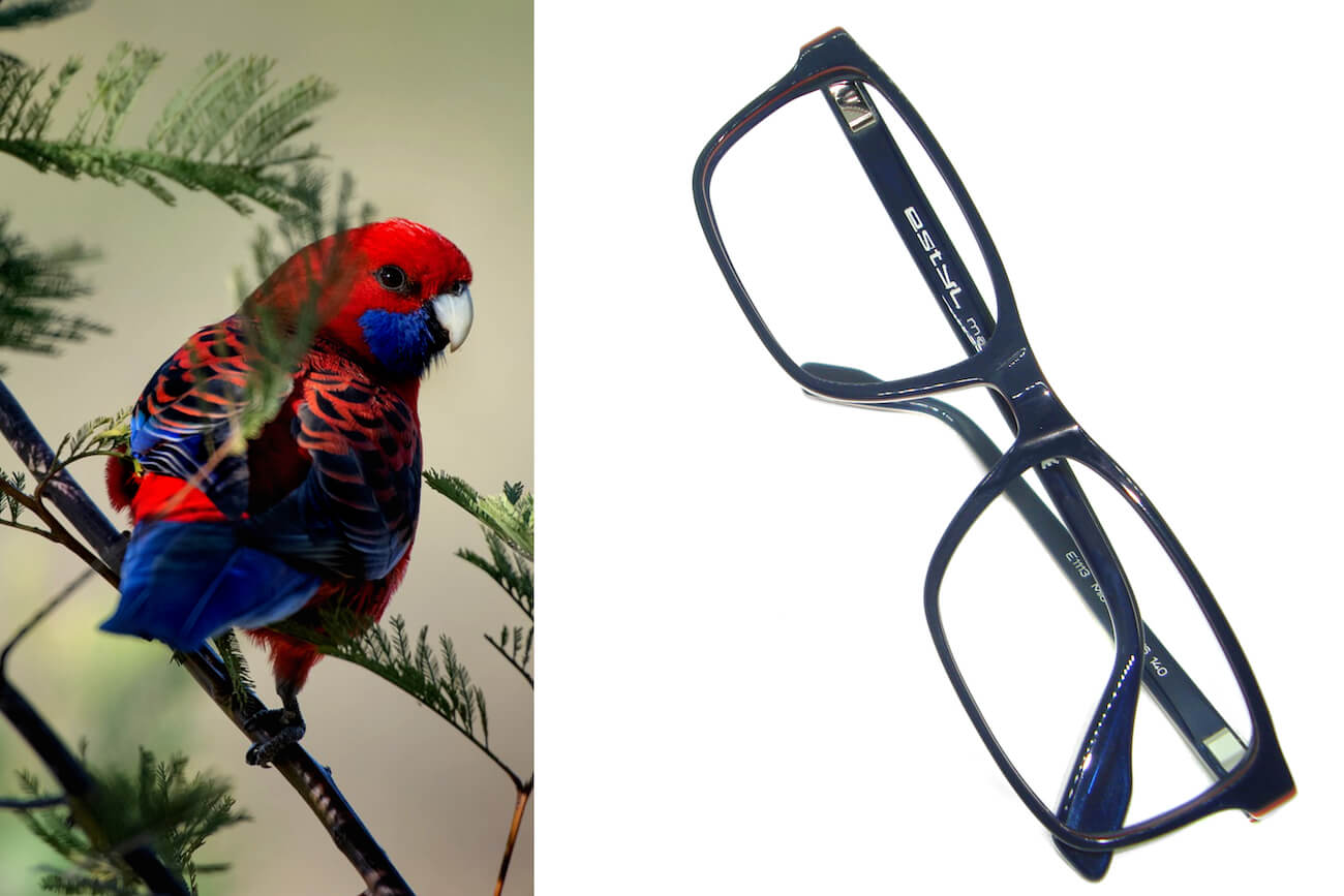 LINE-Blunotte multistrato-Bianco-Rosso-5