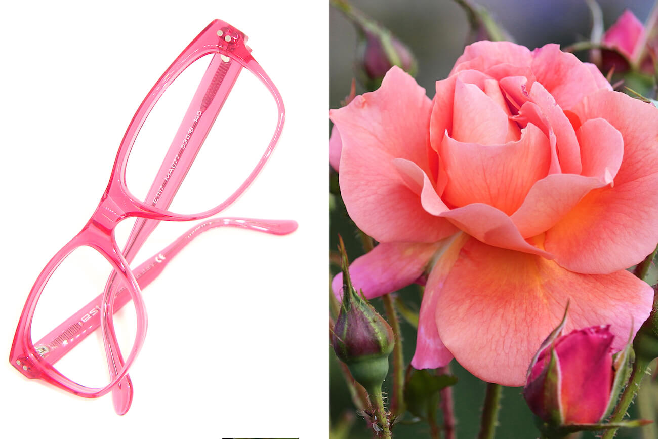 MOUNTAIN-RosaShocking-5