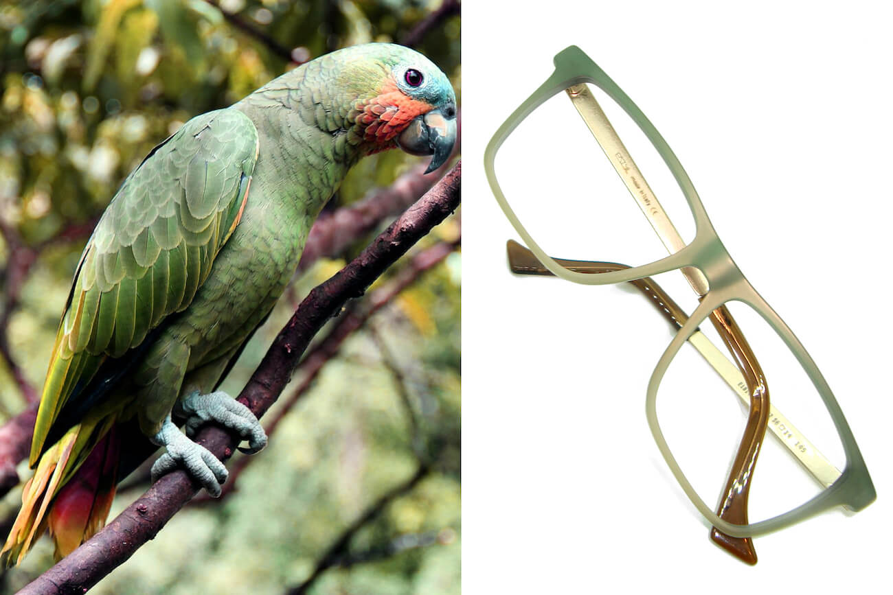 OFFICE-VerdeCangiante-RoseGold-avana-5