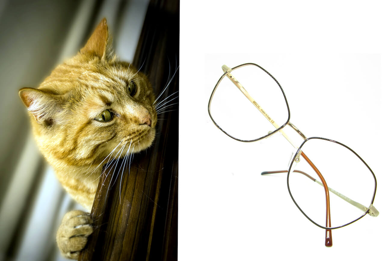 URBAN-Oro-tenue-marrone-5